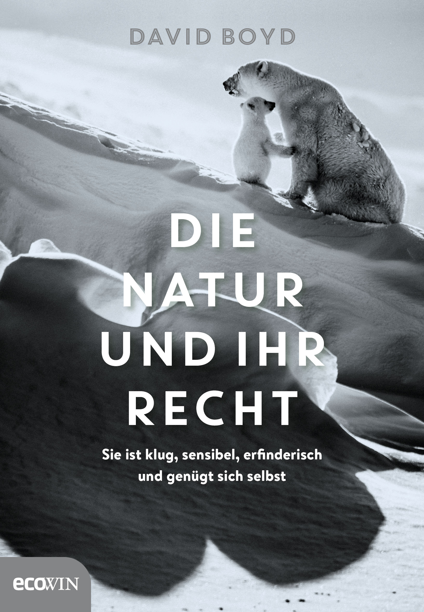 Buchcover: David Boyd: Die Natur und ihr Recht. Ecowin Verlag